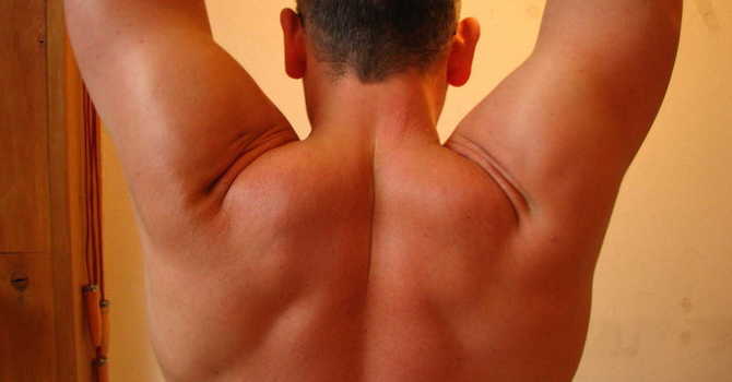 Shouldering The Pain image